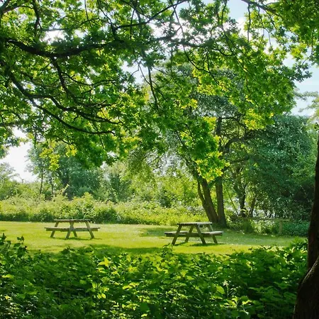 Husodde & Kamp alanı
